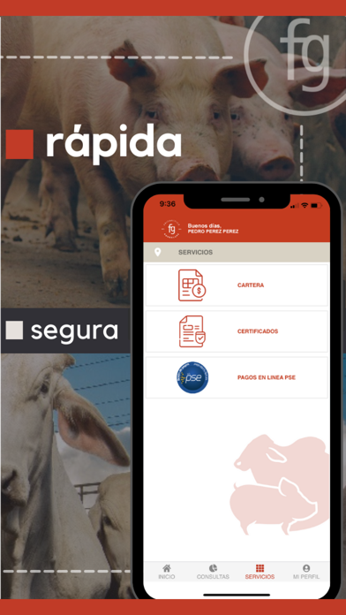 FRIGORIFICO GUADALUPE Screenshot