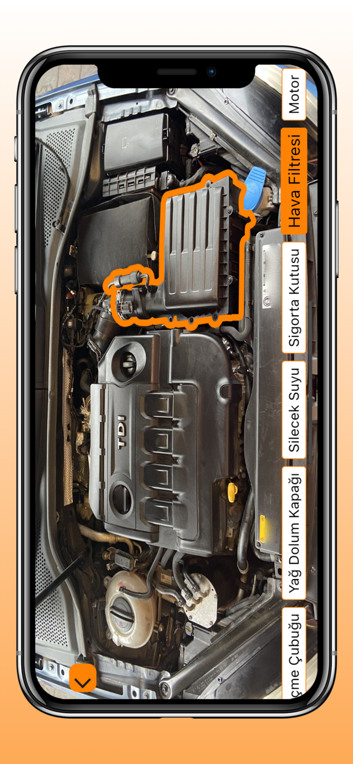 Ehliyet Sınav Soruları - ENOR