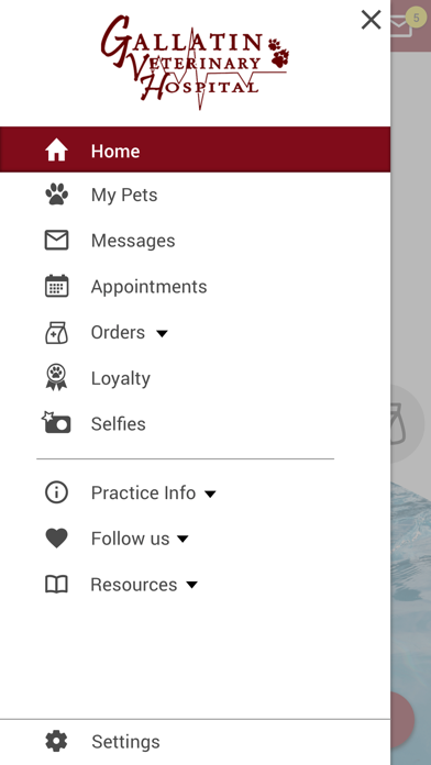 Gallatin Veterinary Hospital Screenshot