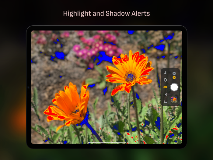 Camera M - Pro Manual Camera