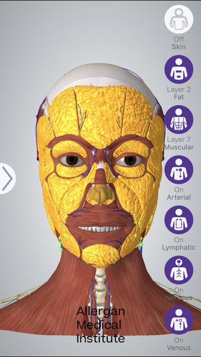 AMI Facial Anatomy Screenshot