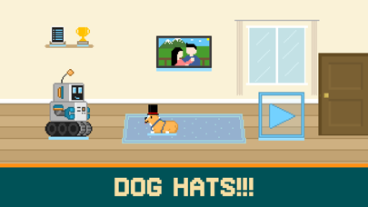 Cruisin' Corgi Screenshot