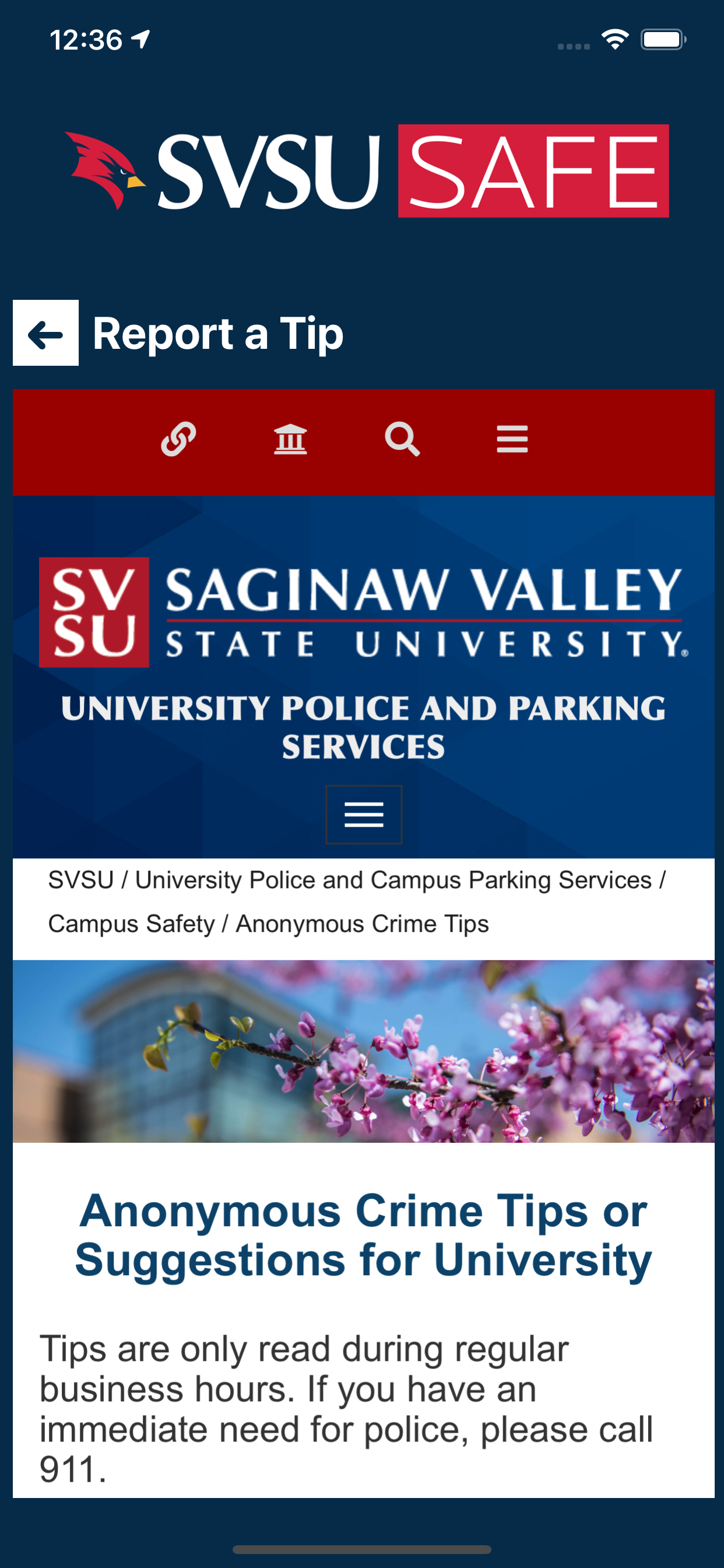 SVSU SAFE