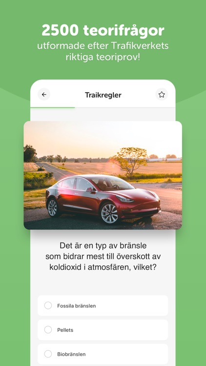 Ta Körkort (Prova på) screenshot-0