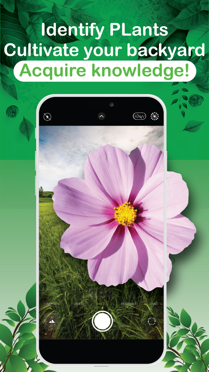 Plant Identifier Detect Leaf