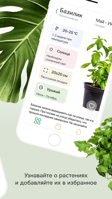 Plant Push Screenshot