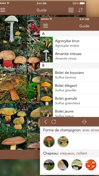 Screenshot #3 pour Champignons LITE