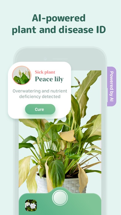 Blossom - Plant Care Guide Screenshot