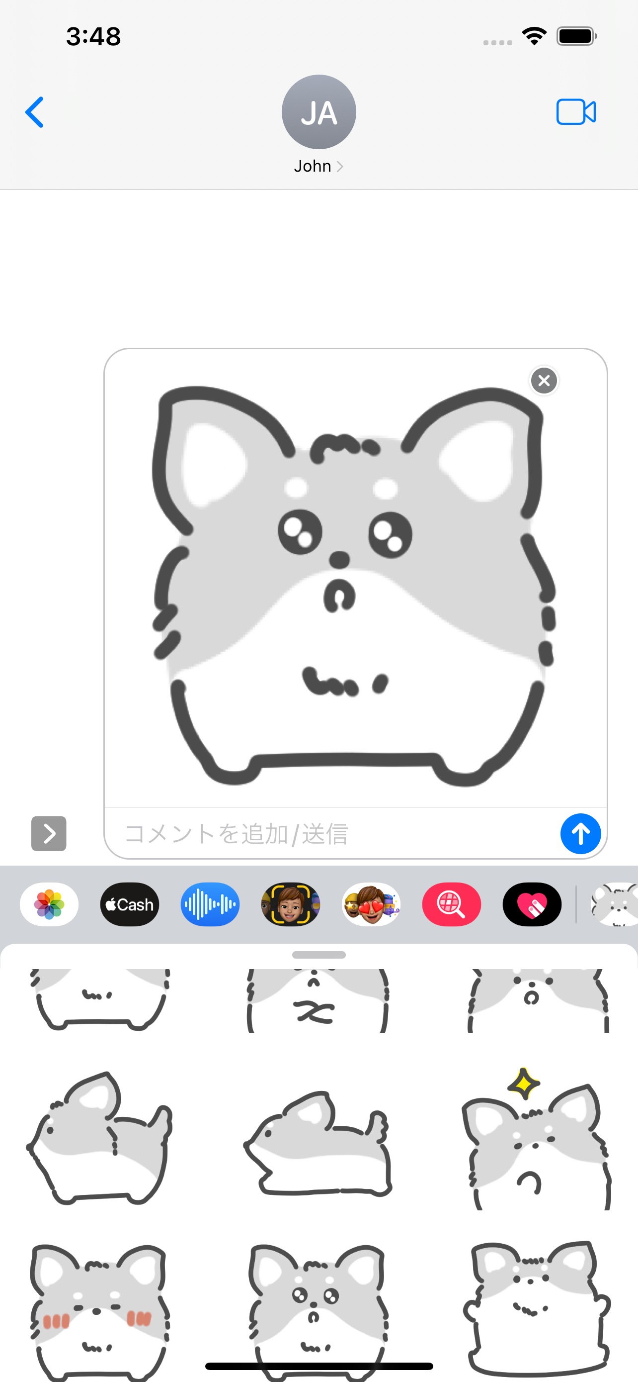 gray chihuahua sticker