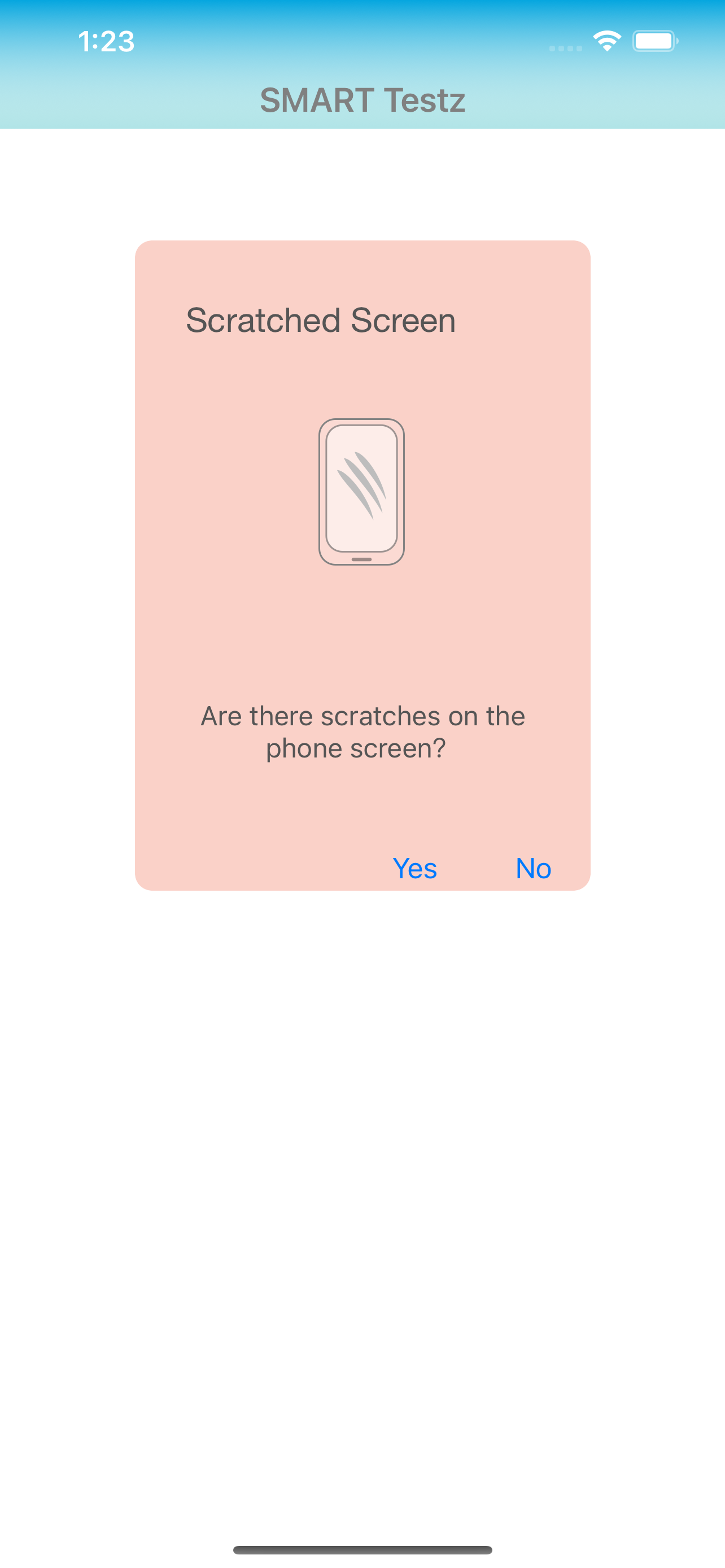SMART Testz