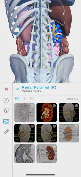 Game screenshot Visual Anatomy 3D - Human apk
