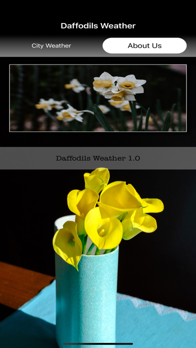 DaffodilsWeather