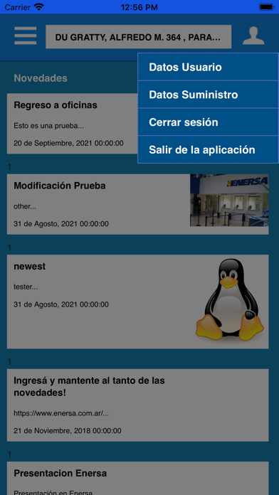 Enersa Screenshot