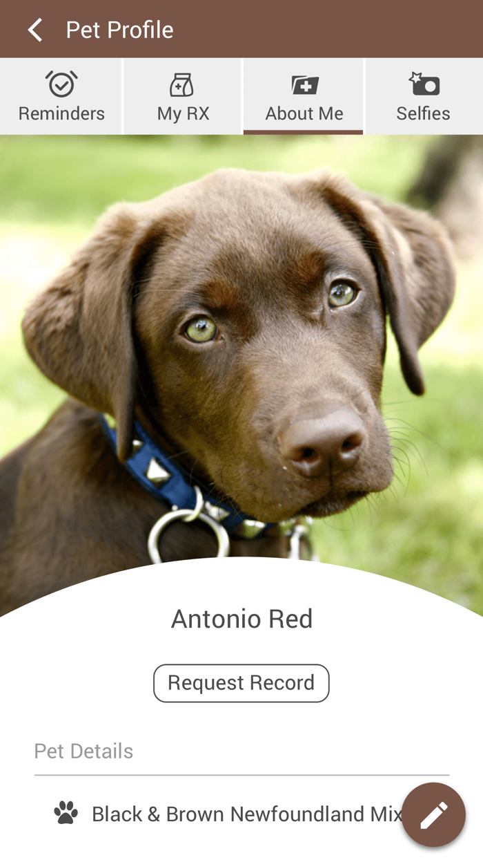 Animal Infirmary of Hoboken