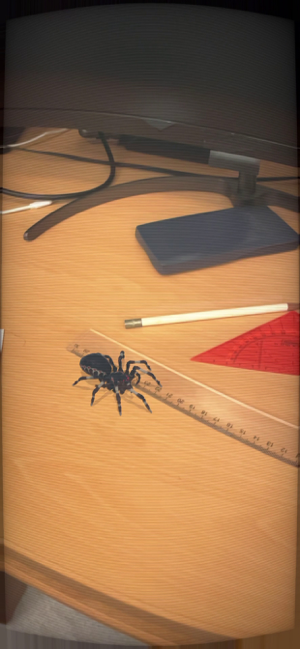 ภาพหน้าจอของ AR Spiders