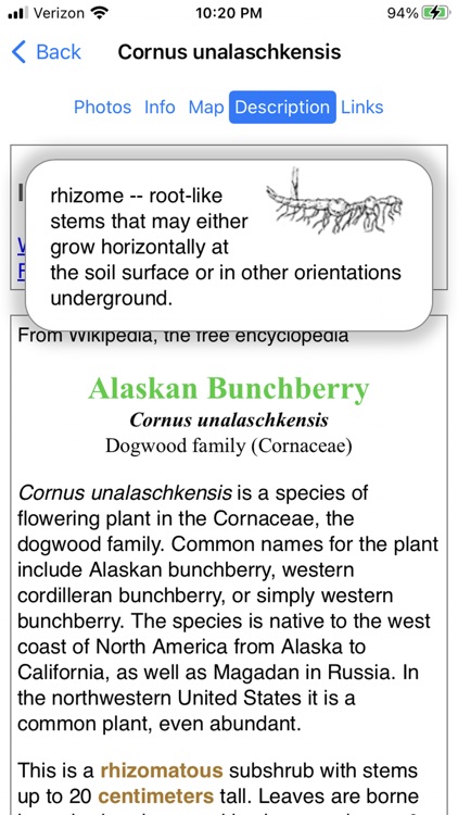 Alaska Wildflowers North screenshot-6