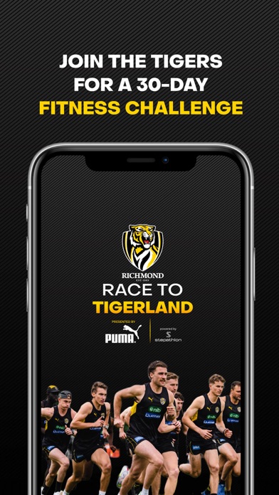 Race To Tigerland Screenshot