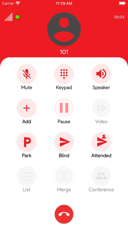 Skylink Voice screenshot-3