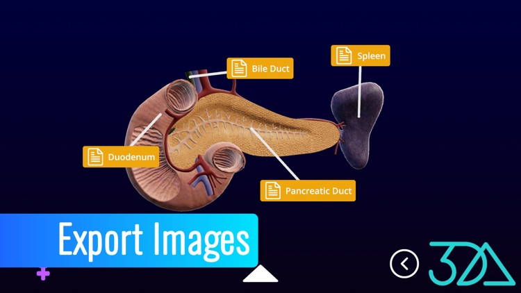3DGlassman screenshot-4