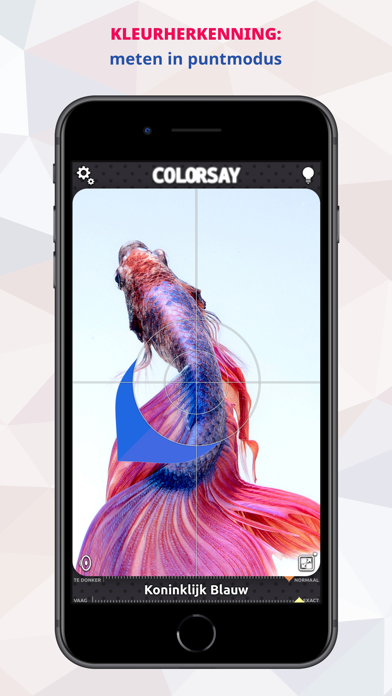 ColorSay • Kleurenscanner iPhone app afbeelding 2