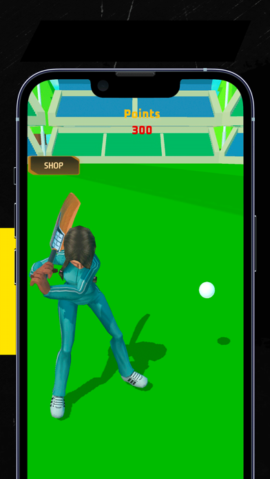 PM Cricket Sports Screenshot