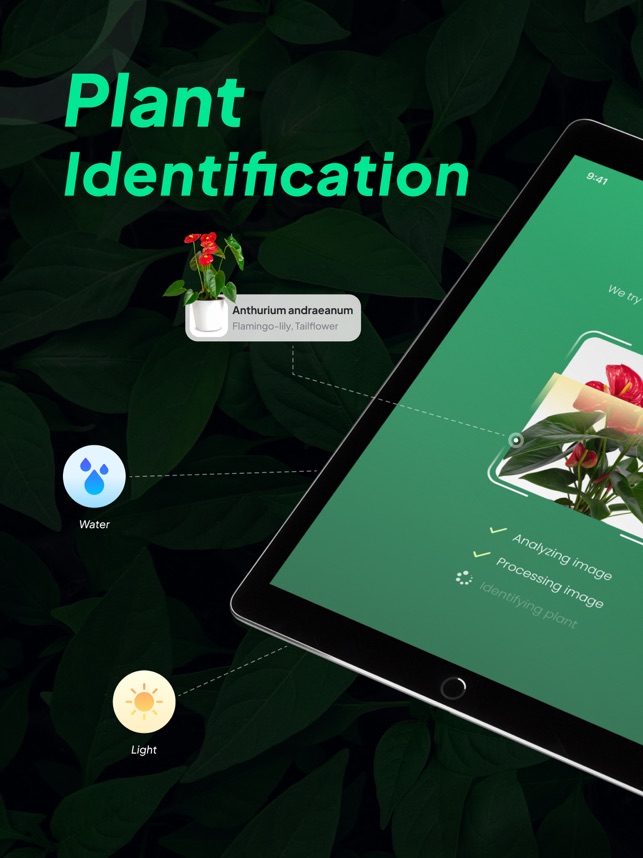 Australian Wildflower Identification App Best Flower Site