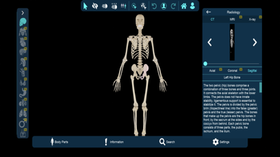 Vesalii Anatomy Student Screenshot