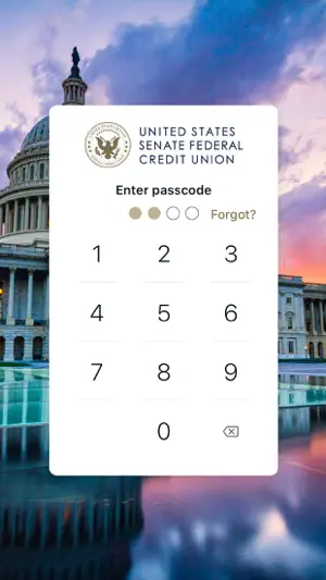 USSFCU screenshot 2