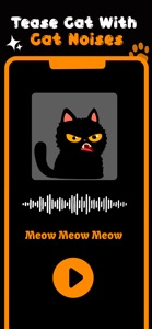 Kitty Talk Meow Cat Translator screenshot #5 for iPhone