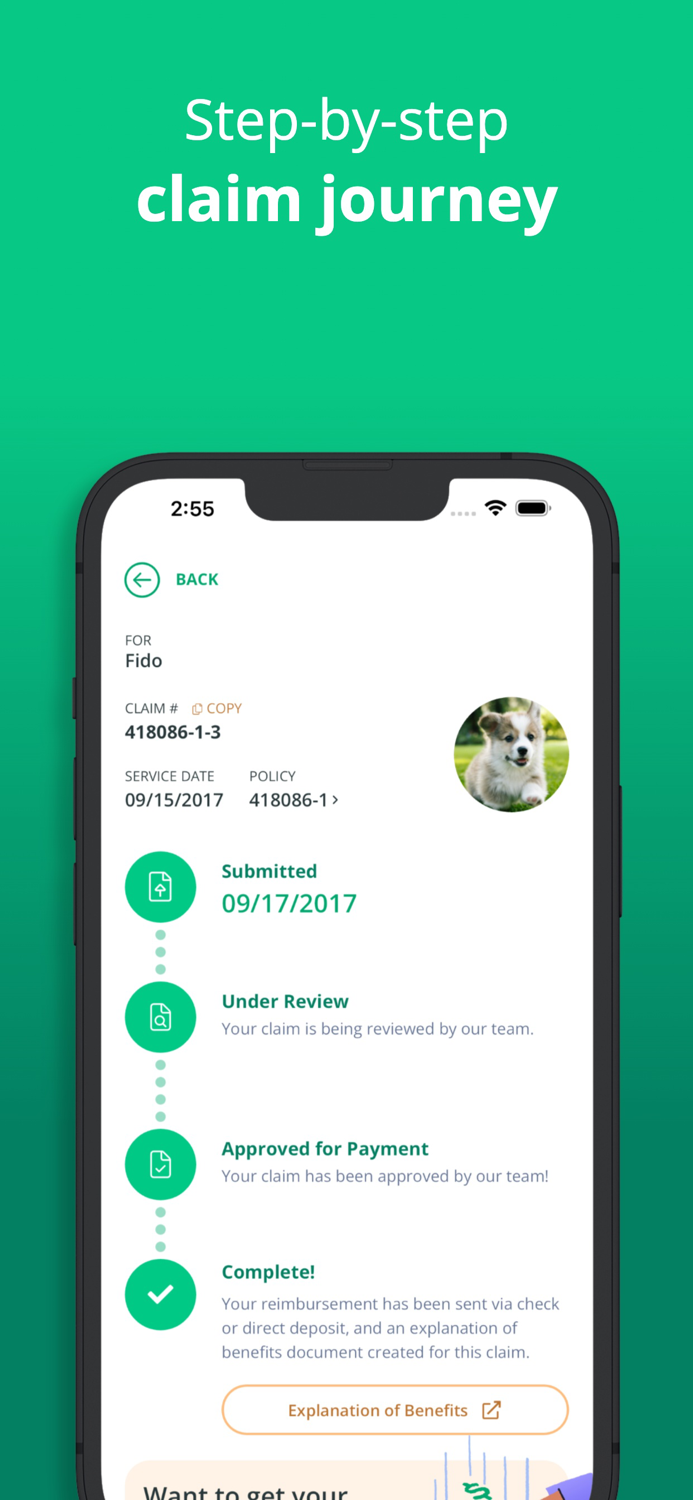 Healthy Paws Pet Insurance App