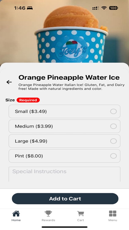 Joey's Italian Ices screenshot-3