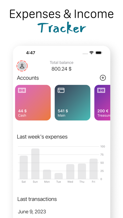 Daily Expense Tracker & Budget Screenshot