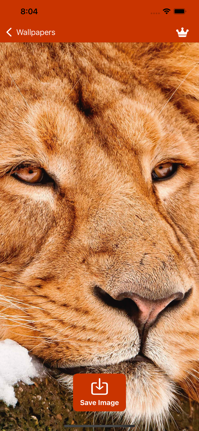 Wallpapers HD - 4K Aesthetic