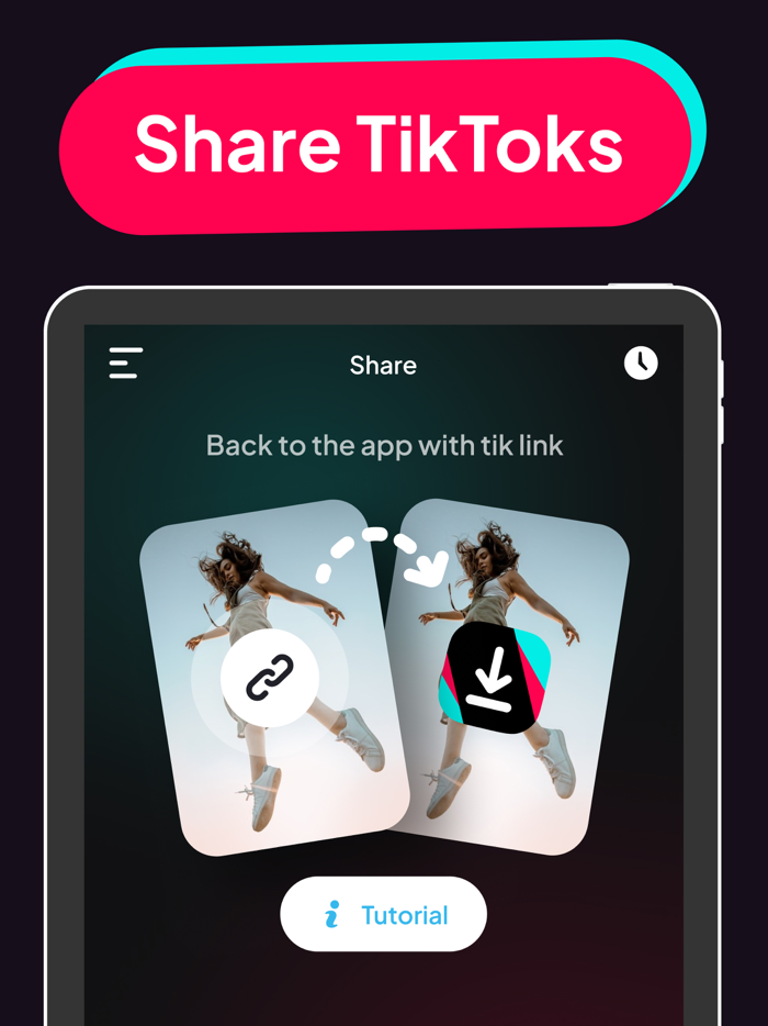 SnapTik Tok Video Saver TMate