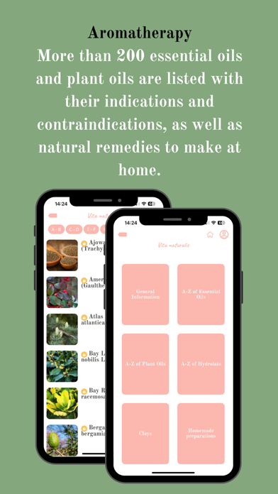 Vita Naturalis Screenshot