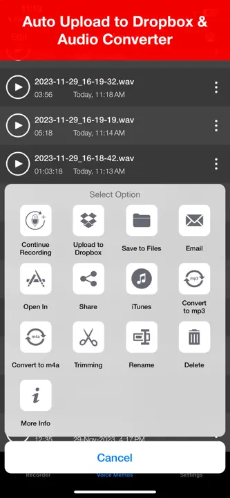 Voice Recorder Liteのスクリーンショット（4/5）