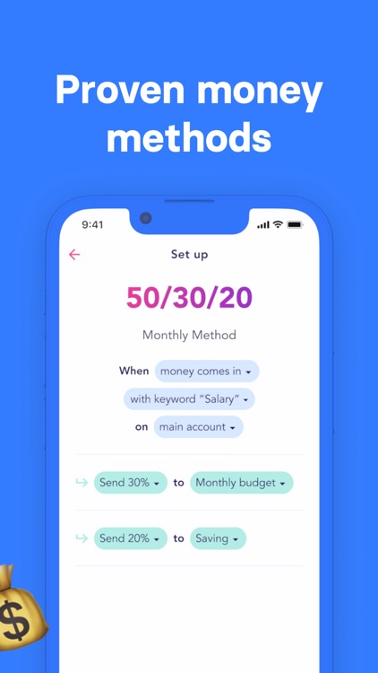 Flow: Auto budget & save screenshot-5