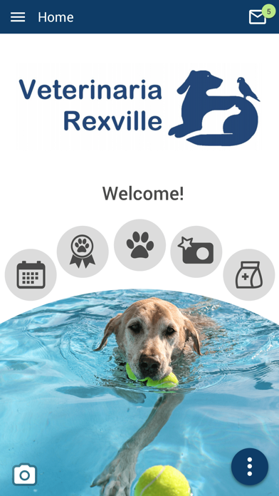 Veterinaria Rexville Screenshot