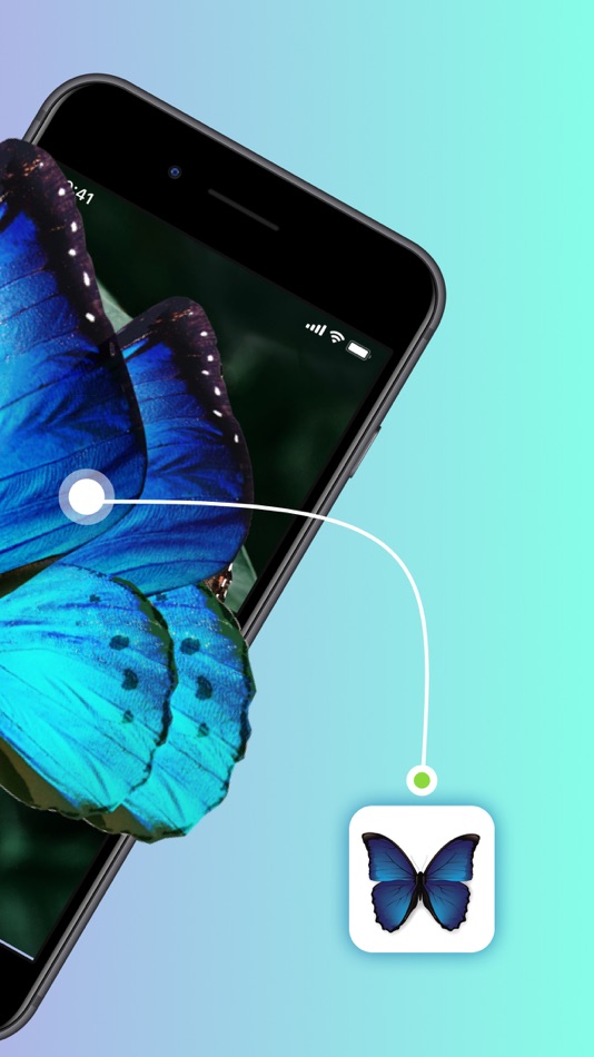 #2. Bug IdentifierーIdentify Insect (iOS) 由: Aleksei Metelkin