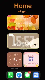 tiny widget countdown + iphone screenshot 2