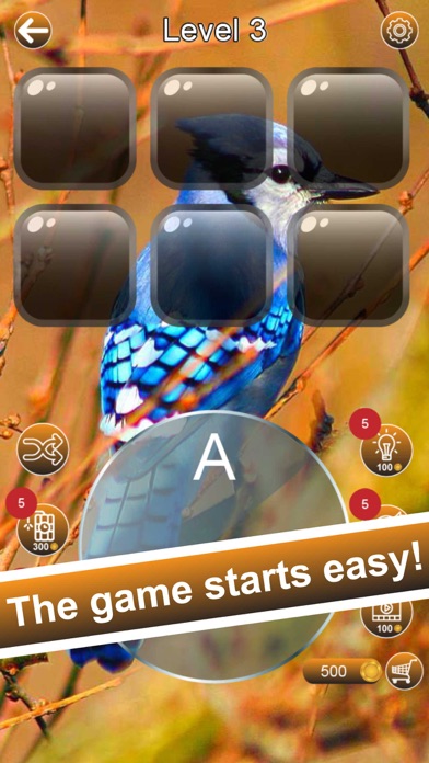 Word Soar - Fun Puzzle Game Screenshot