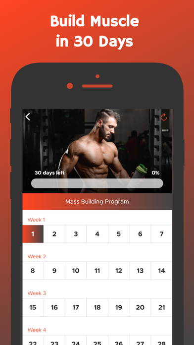 Gain Muscle Mass Screenshot