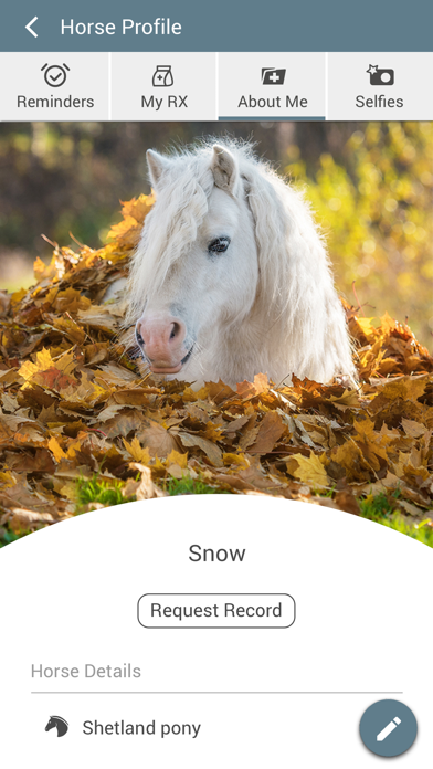 Waller Equine Screenshot