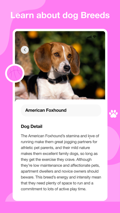 Dog scanner - Dog Breed ID Screenshot