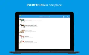 equine anatomy learning iphone images 1