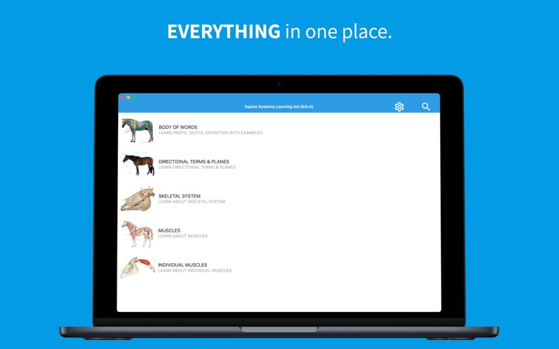 equine anatomy learning iphone screenshot 1