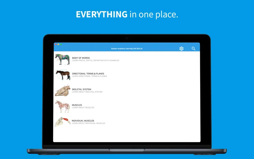 Equine Anatomy Learning iPhone Screenshot 1