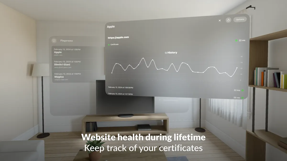 Ping website tool screenshot 1
