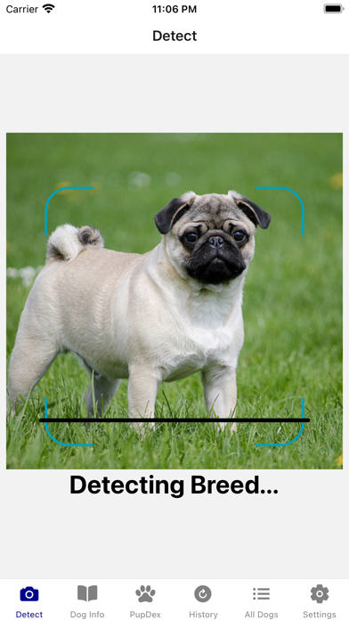 Dog Breed Identifier - PupDex Screenshot