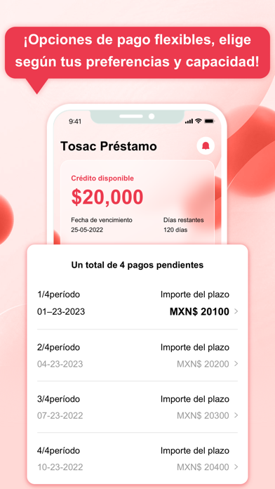 Tosac Préstamo Screenshot
